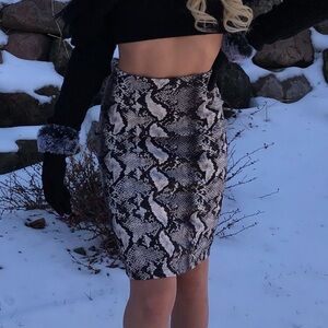 Snakeskin Print Knee Length Skirt